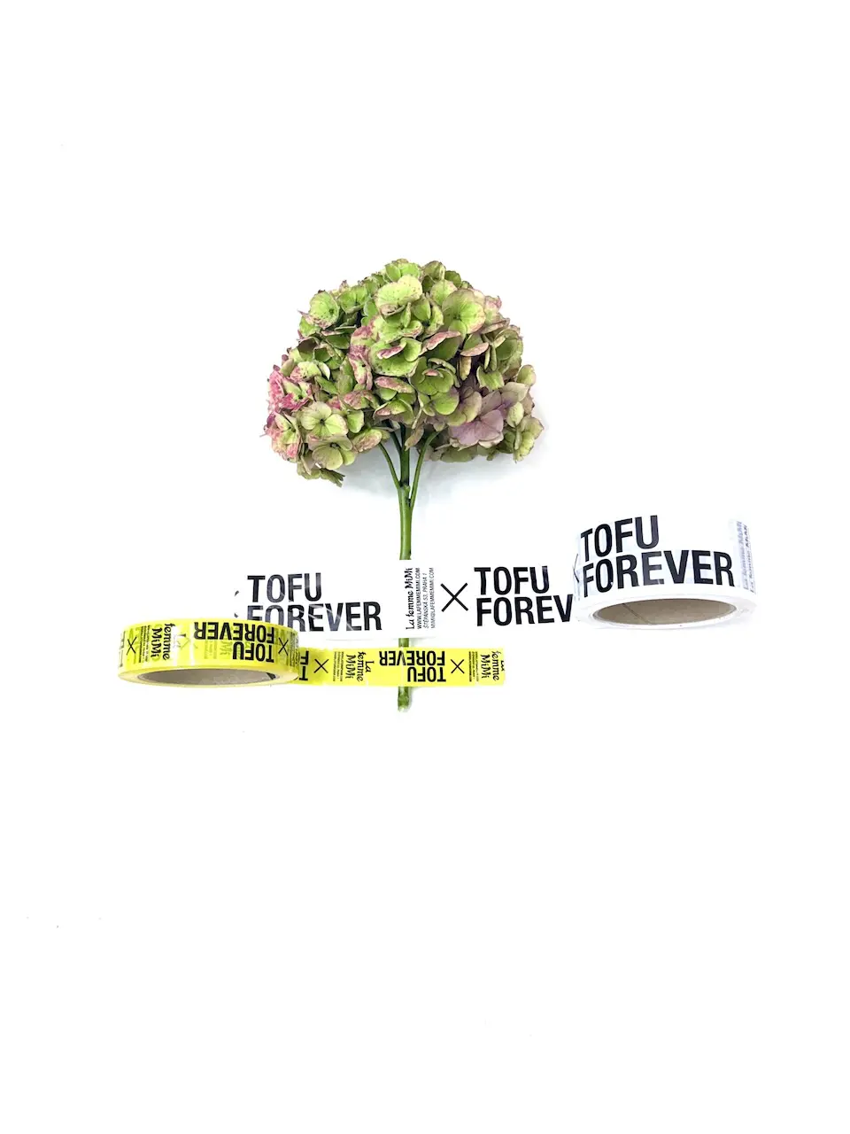 TOFU FOREVER – BOX OF PLEASURE