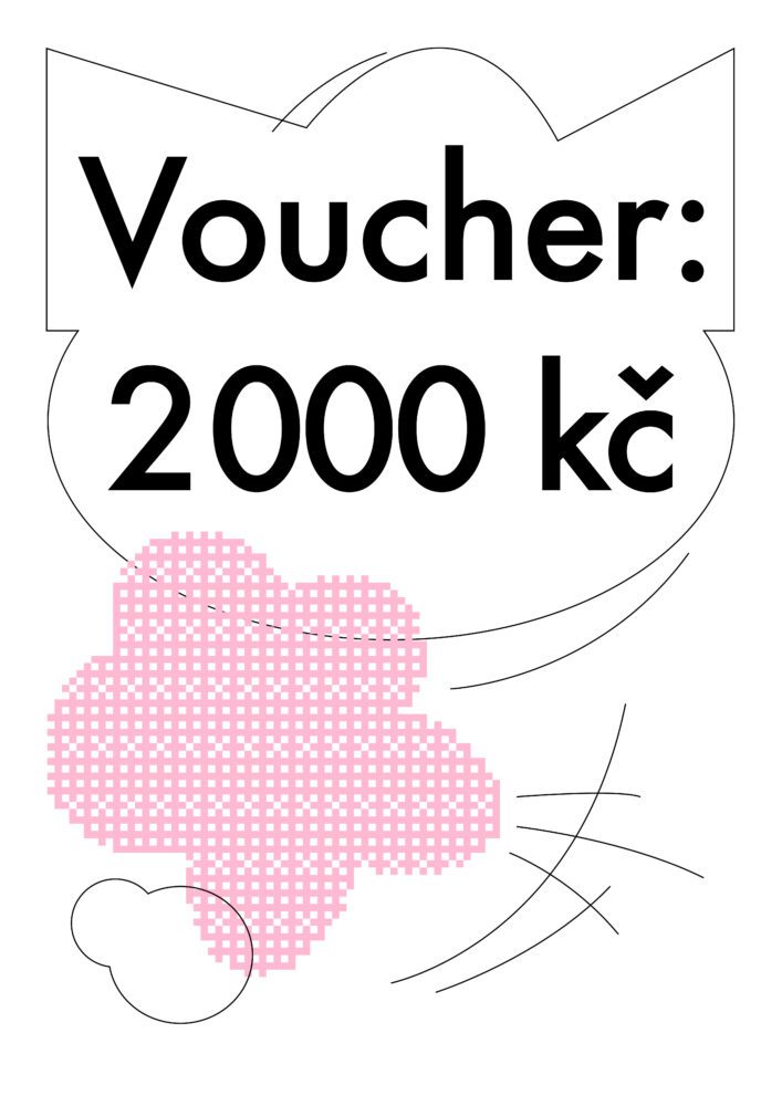 Voucher 2000