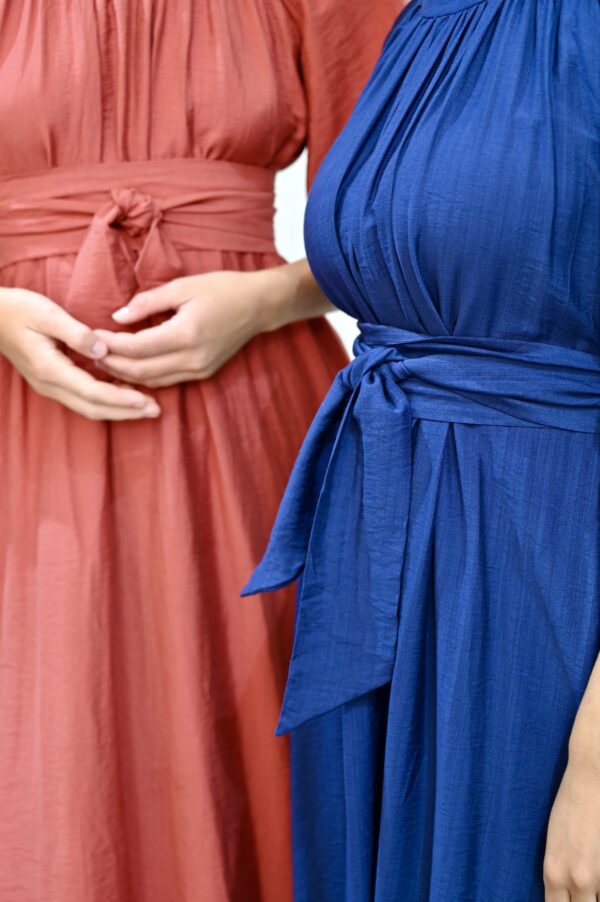The Blue Dress - Image 4